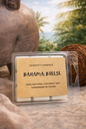 BAHAMA BREEZE- WAX MELTS 6 CUBES